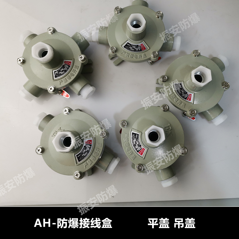 1586529632244799.jpeg 防爆接線盒吊蓋.jpg